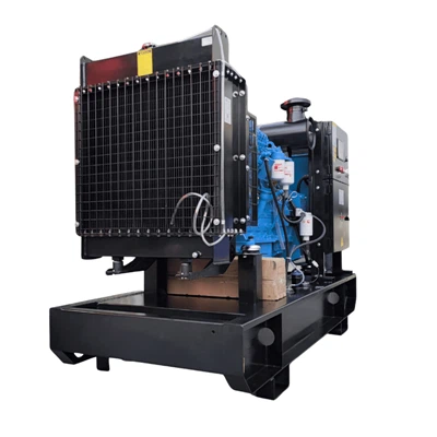 Radiator generator de generac